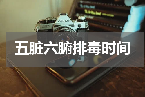 五脏六腑排毒时间