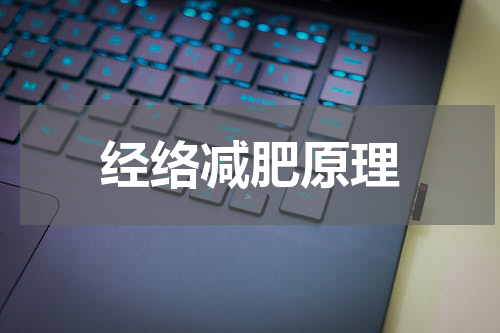 经络减肥原理