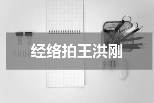 经络拍王洪刚