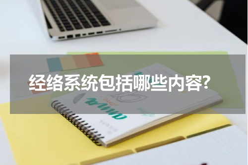 经络系统包括哪些内容?