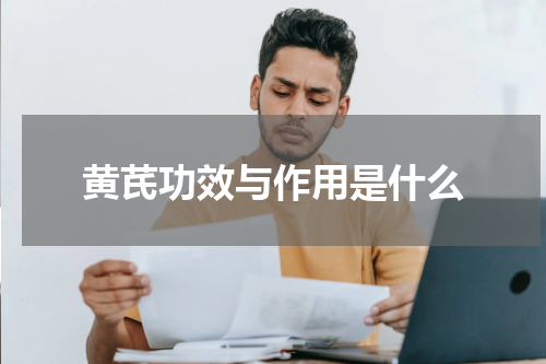 黄芪功效与作用是什么