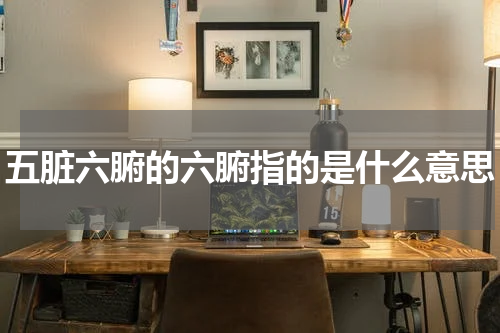 五脏六腑的六腑指的是什么意思