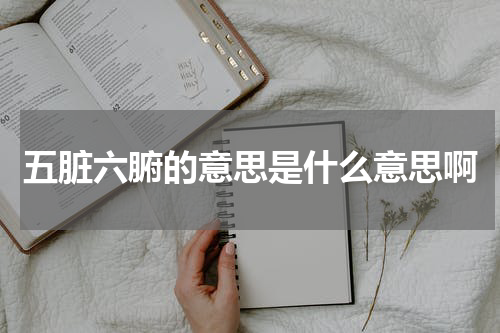 五脏六腑的意思是什么意思啊