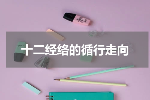 十二经络的循行走向