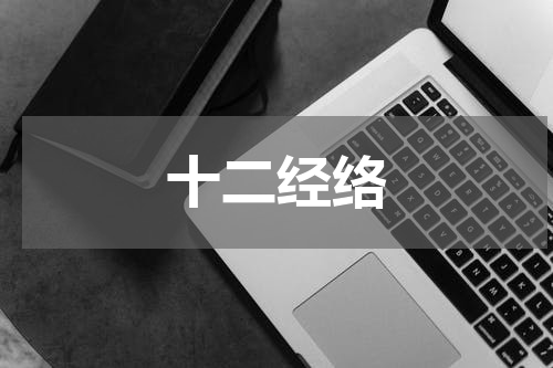 十二经络