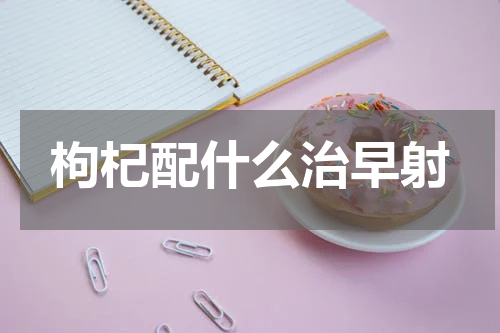 枸杞配什么治早射