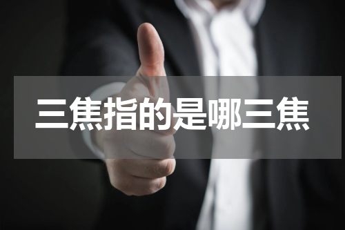 三焦指的是哪三焦