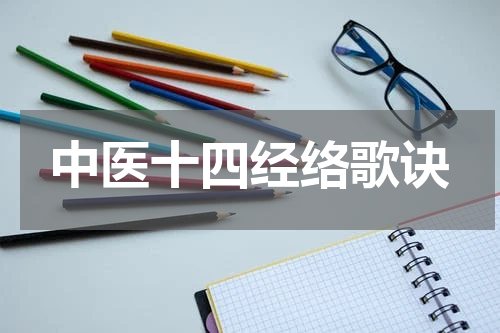 中医十四经络歌诀