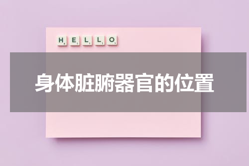 身体脏腑器官的位置