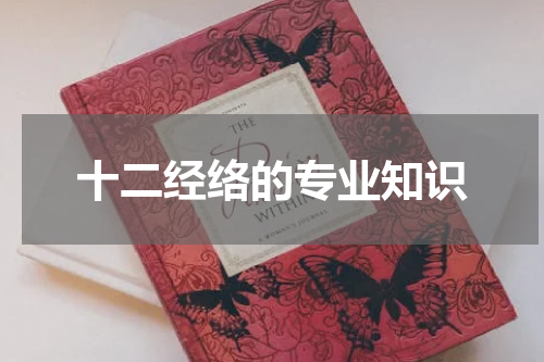 十二经络的专业知识