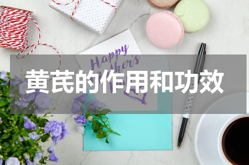 黄芪的作用和功效