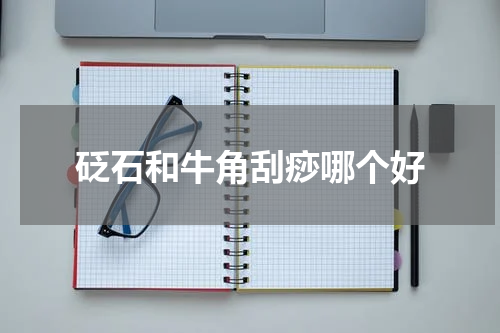 砭石和牛角刮痧哪个好