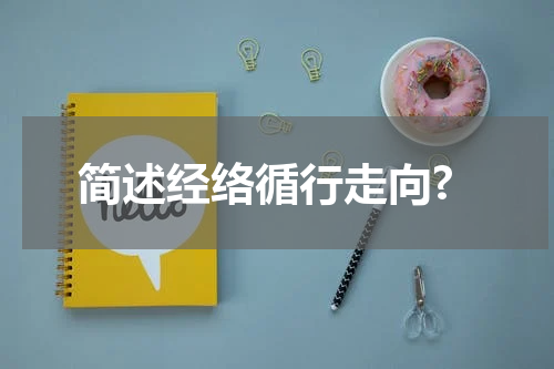 简述经络循行走向?