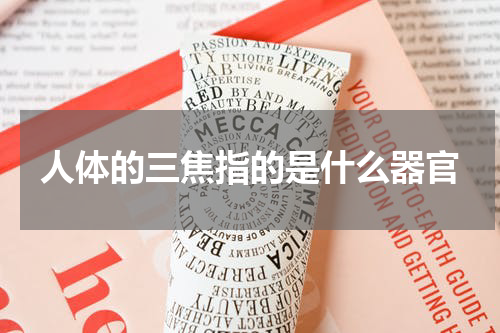 人体的三焦指的是什么器官