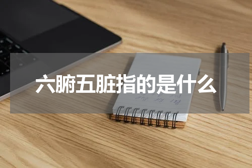 六腑五脏指的是什么