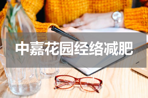 中嘉花园经络减肥