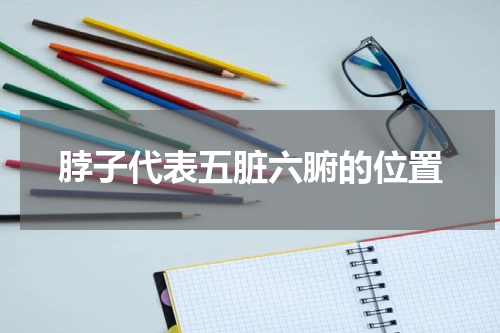 脖子代表五脏六腑的位置