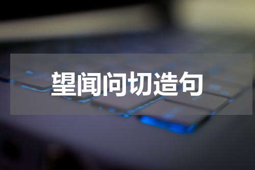 望闻问切造句