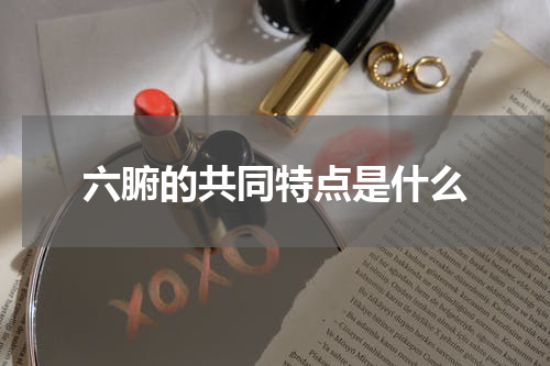 六腑的共同特点是什么