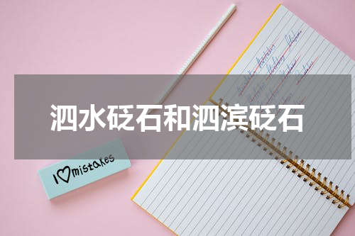 泗水砭石和泗滨砭石