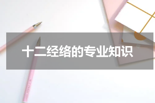 十二经络的专业知识