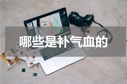 哪些是补气血的