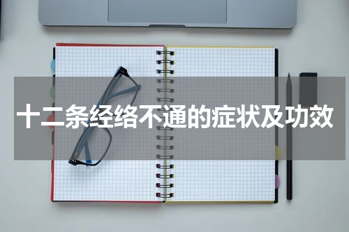 十二条经络不通的症状及功效