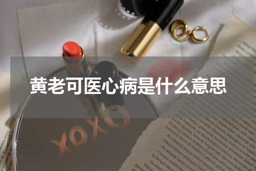 黄老可医心病是什么意思