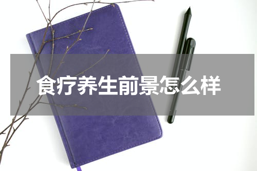 食疗养生前景怎么样