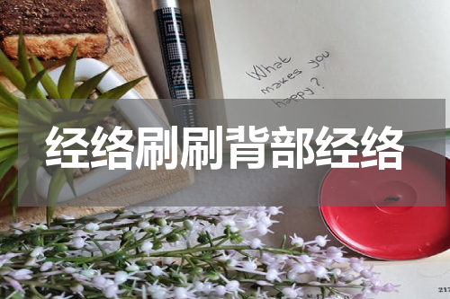 经络刷刷背部经络