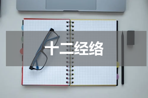 十二经络