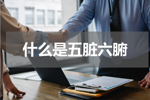 什么是五脏六腑
