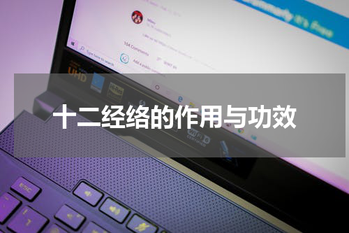 十二经络的作用与功效