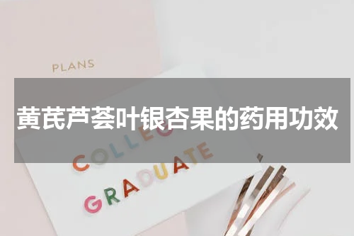 黄芪芦荟叶银杏果的药用功效