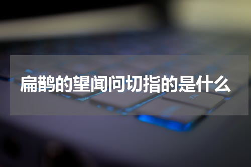 扁鹊的望闻问切指的是什么