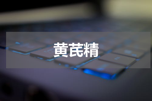 黄芪精