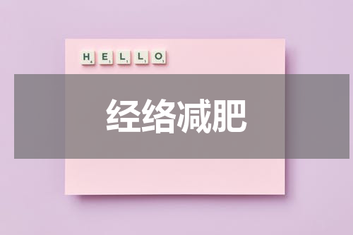 经络减肥