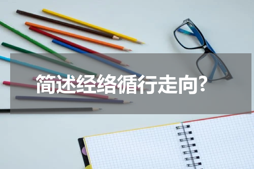 简述经络循行走向?