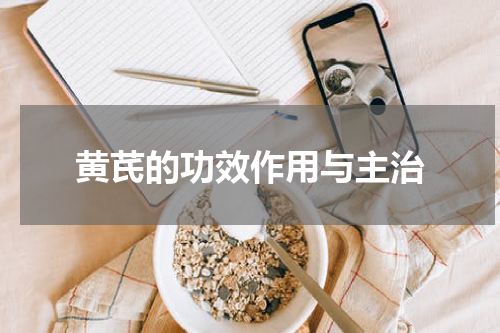 黄芪的功效作用与主治