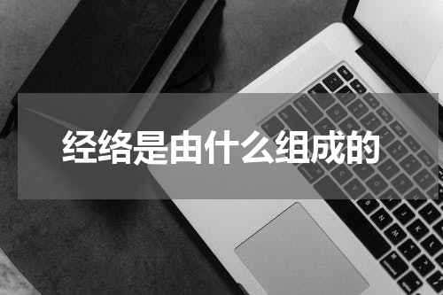 经络是由什么组成的