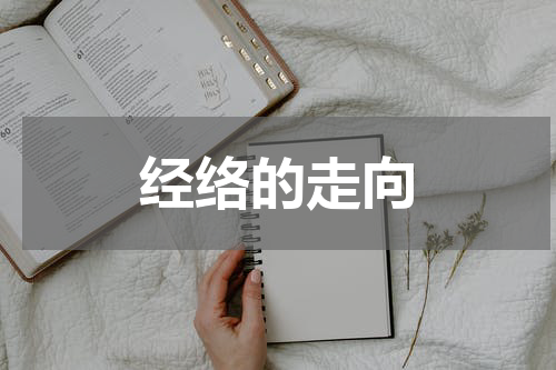 经络的走向