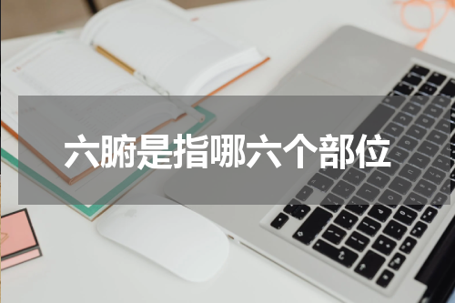 六腑是指哪六个部位