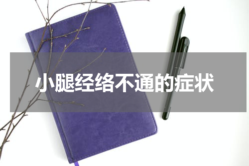 小腿经络不通的症状