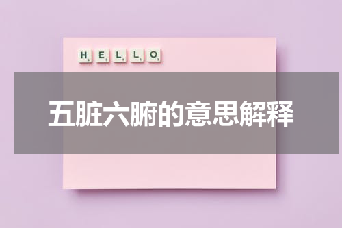 五脏六腑的意思解释