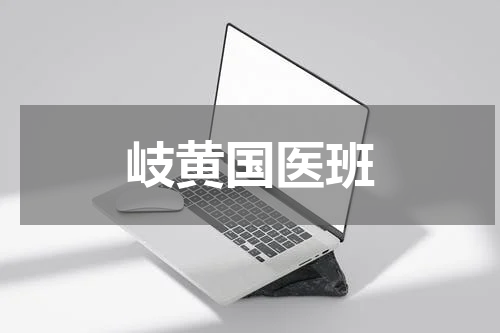 岐黄国医班
