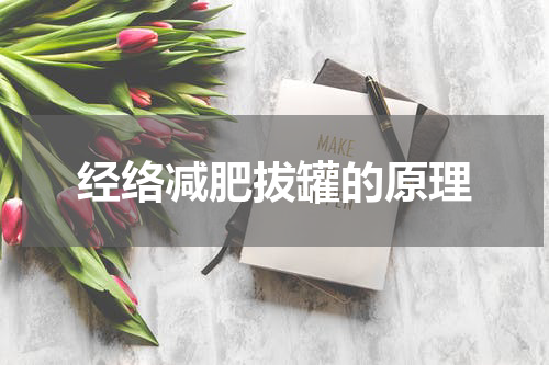 经络减肥拔罐的原理