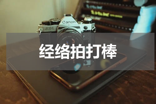 经络拍打棒