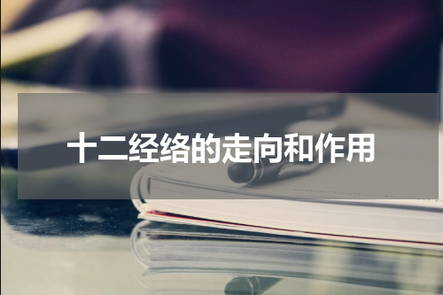 十二经络的走向和作用