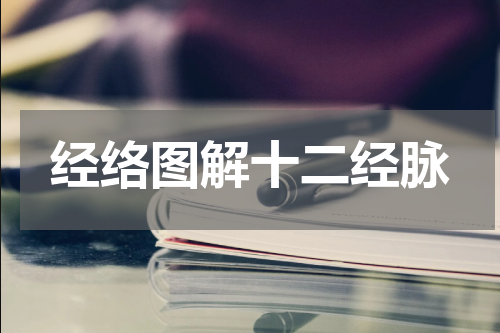 经络图解十二经脉