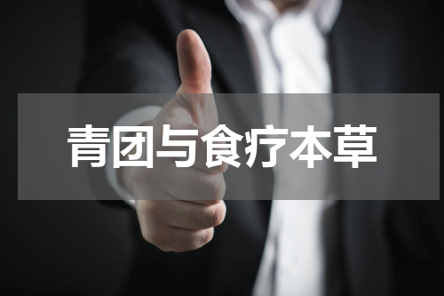 青团与食疗本草